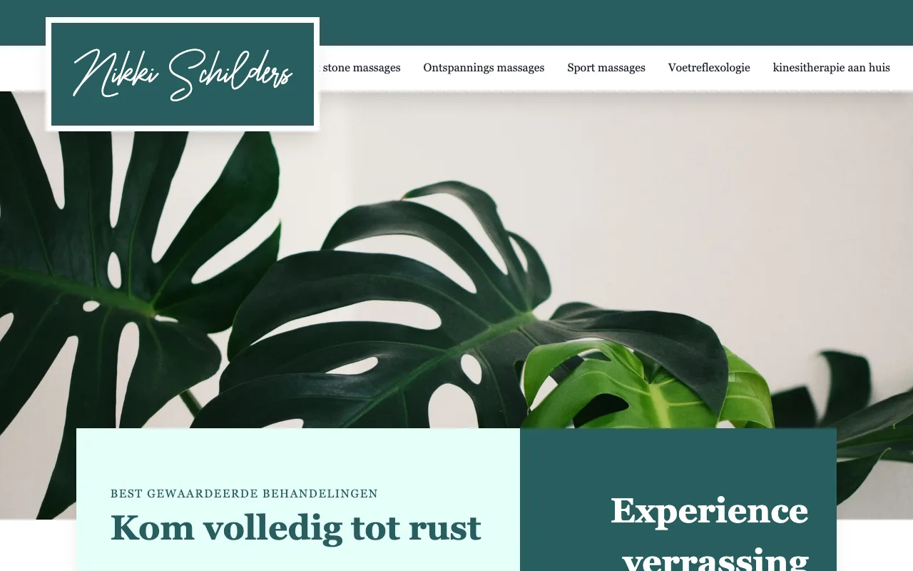 Voorbeeld van nikkischilders.be